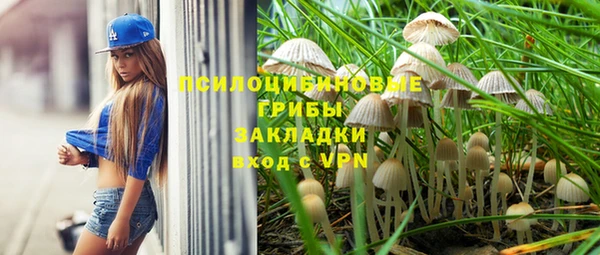 эйфоретик Ессентукская
