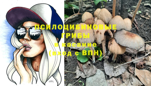 эйфоретик Ессентукская