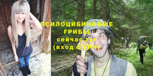 ГАЛЛЮЦИНОГЕННЫЕ ГРИБЫ Новосибирск