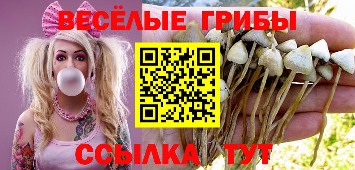 Галлюциногенные грибы мухоморы Россия