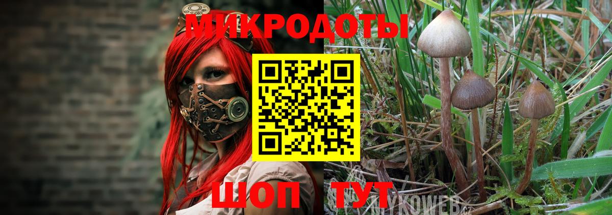 даркнет сайт  Псилоцибиновые грибы Psilocybine cubensis  Россия  Вход с VPN  Псилоцибиновые грибы Cubensis 