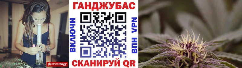 сколько стоит  Краснодар  блэк спрут зеркало  даркнет формула  Каннабис сатива 